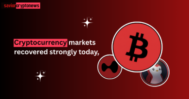 Cryptocurrency markets recovered strongly today, (1)